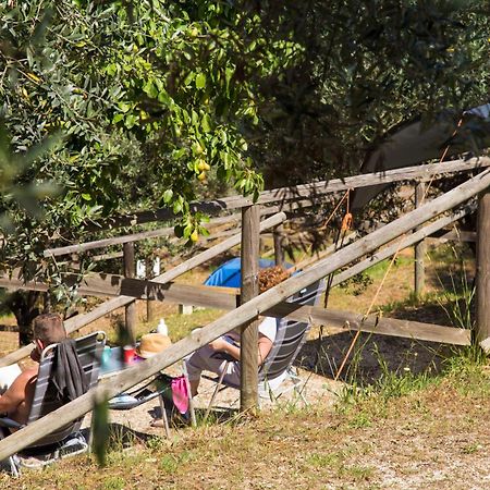 Blucamp Natural Village Campiglia Marittima Kültér fotó