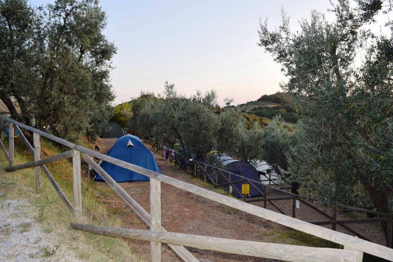 Blucamp Natural Village Campiglia Marittima Kültér fotó