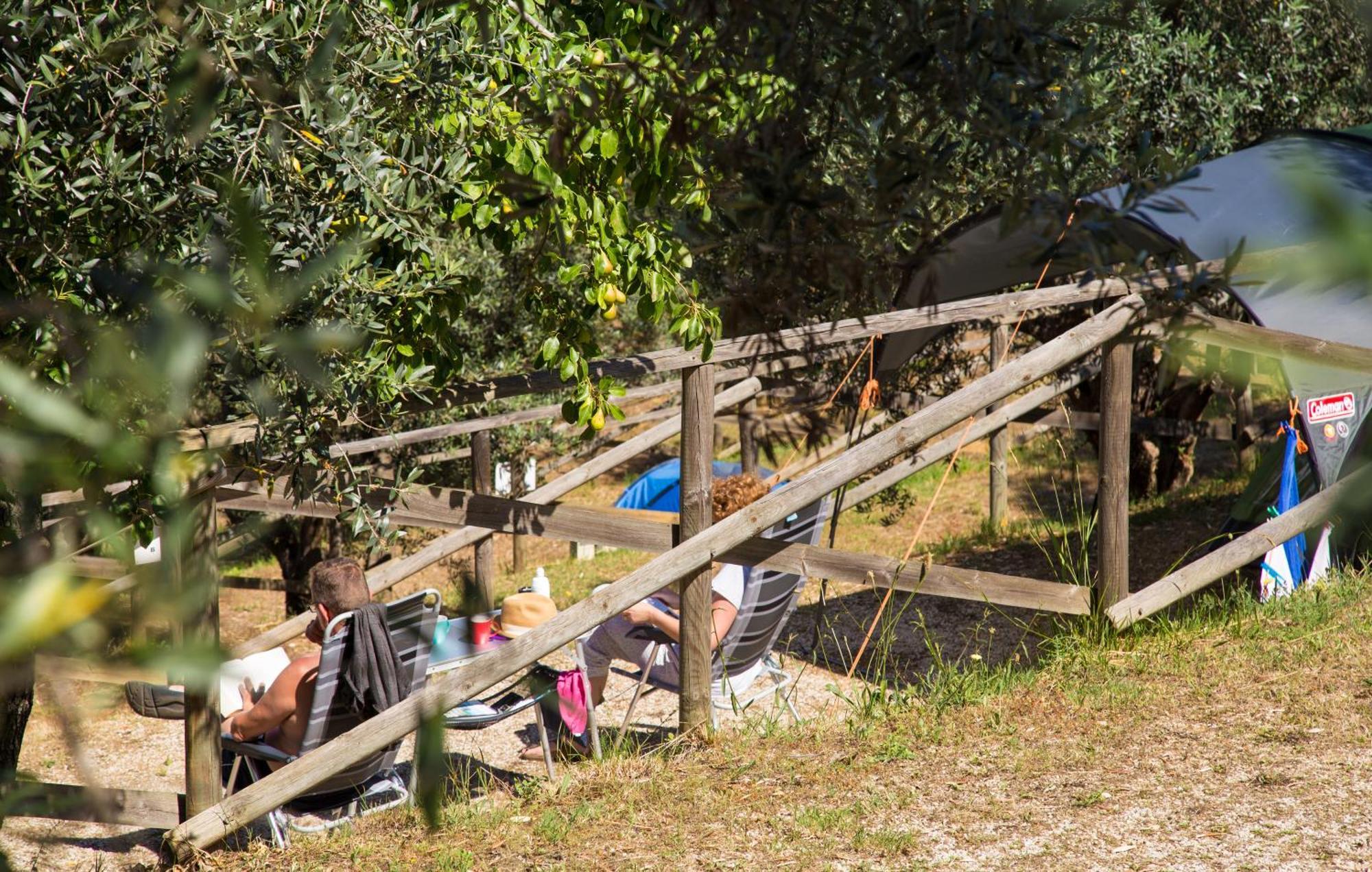 Blucamp Natural Village Campiglia Marittima Kültér fotó